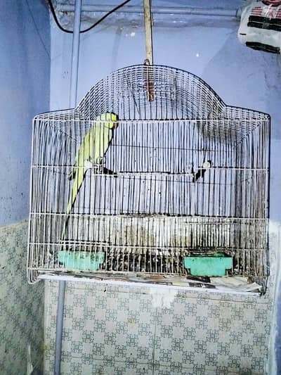 Cages