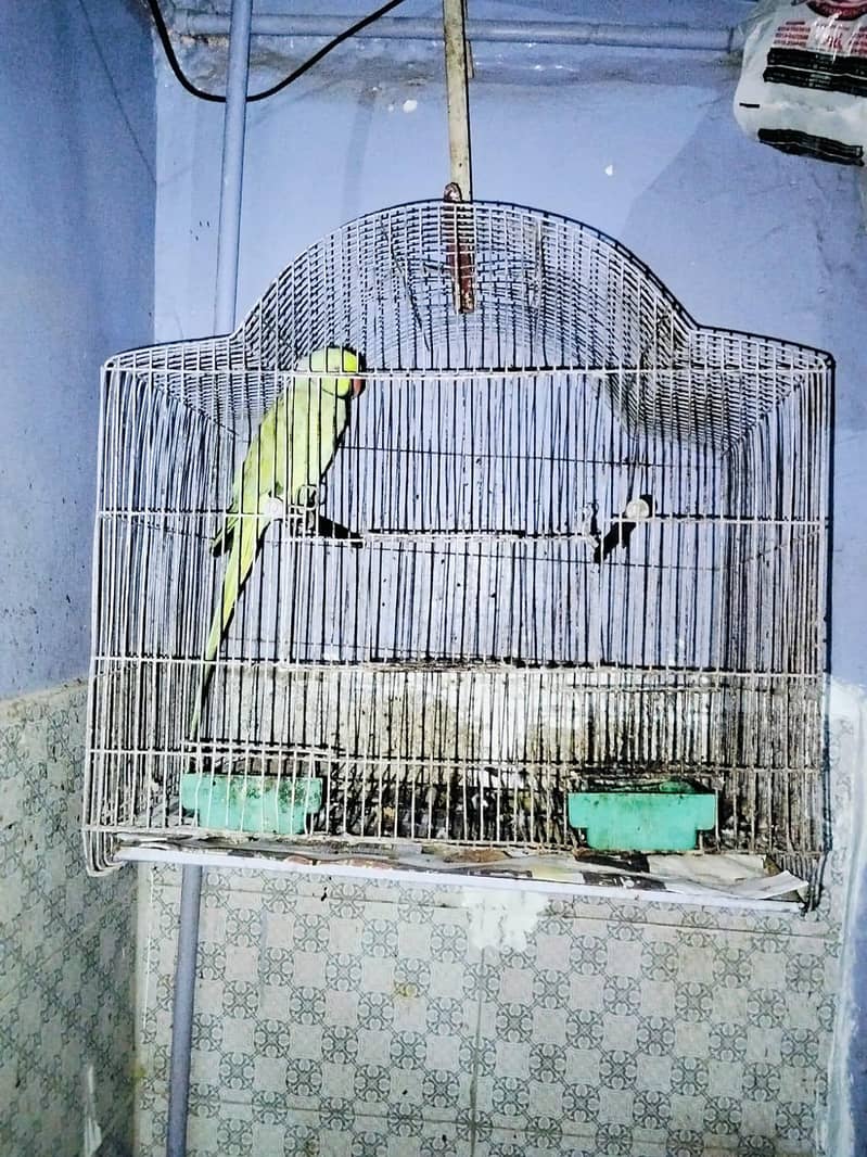 Cages 0