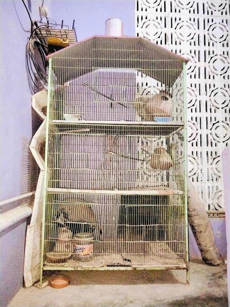 Cages 1