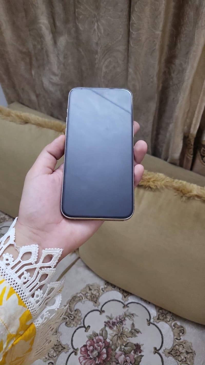 Apple iPhone 15 Pro Max 3