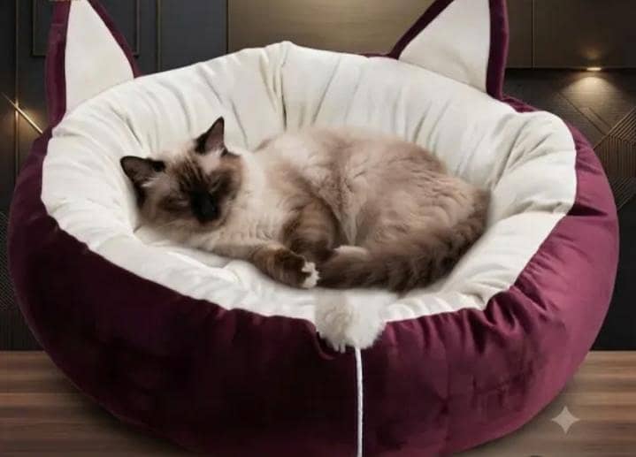 cat bed 1