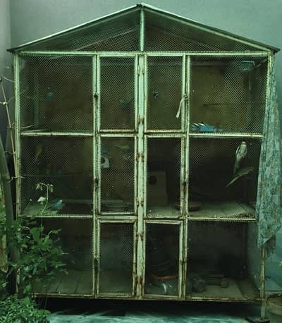 Cages Available for Birds Big Size