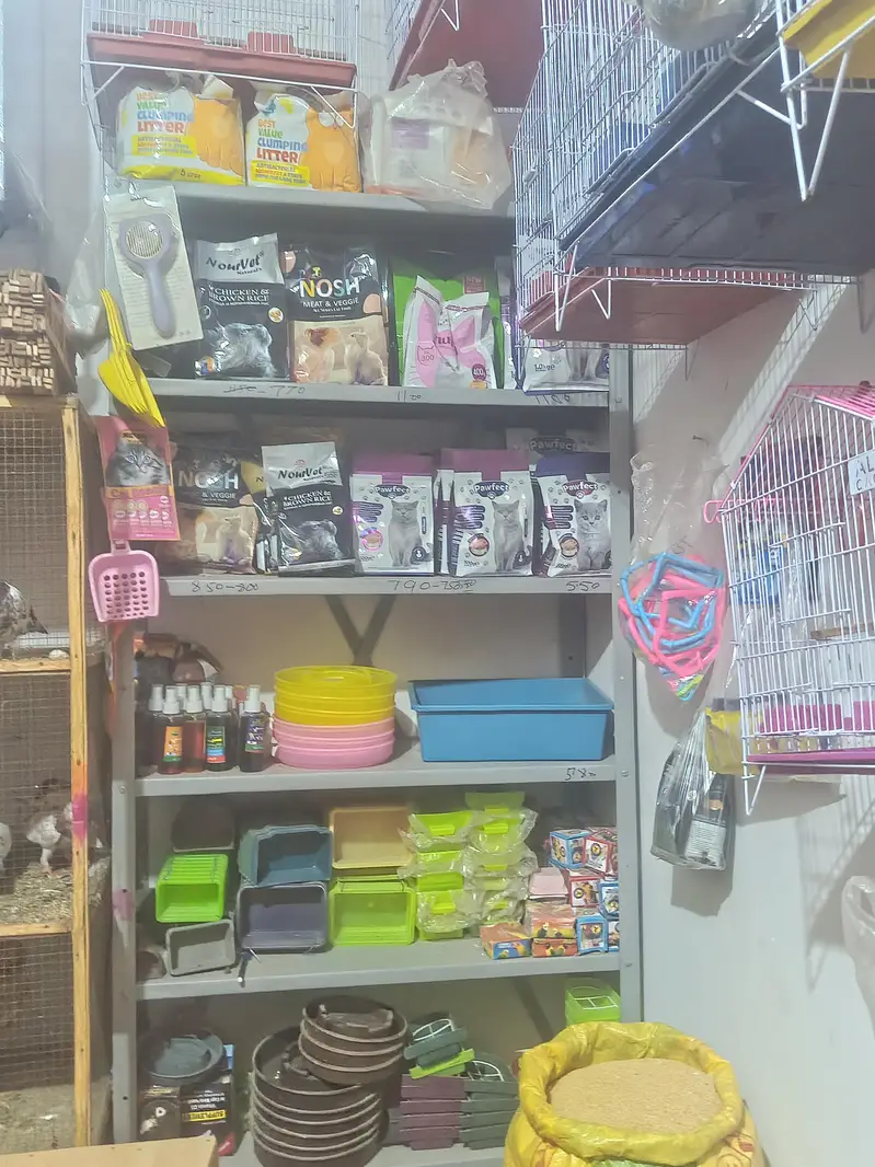 birds cage + cats food +fancy birds