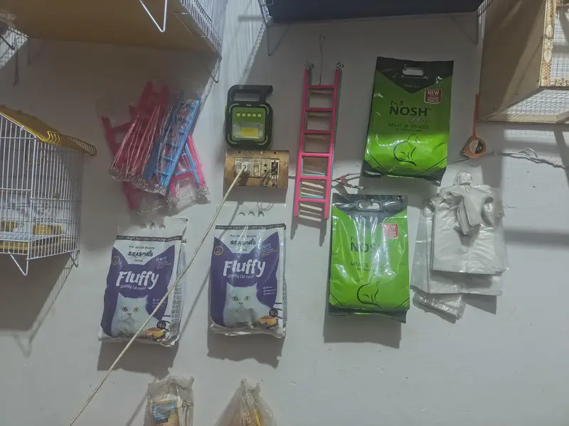 birds cage + cats food +fancy birds — photo 3