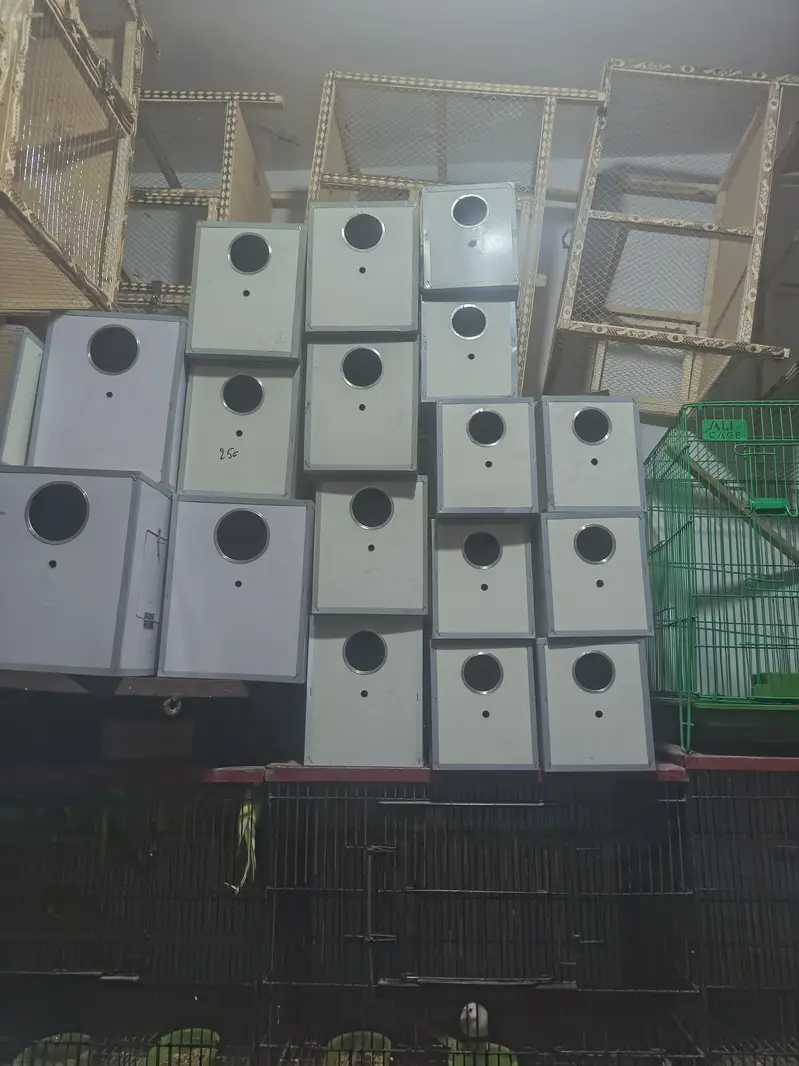birds cage + cats food +fancy birds — photo 6
