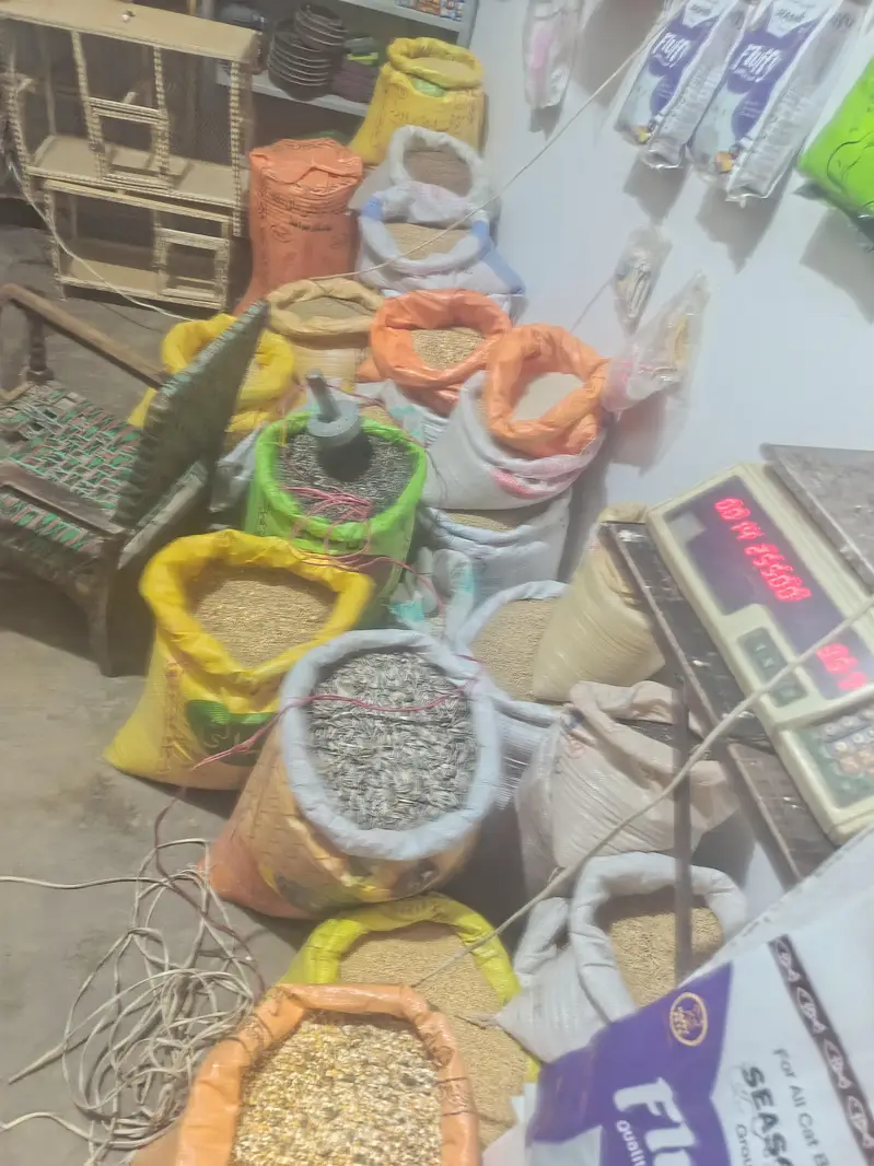 birds cage + cats food +fancy birds — photo 8