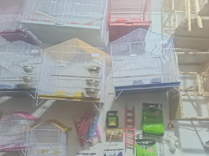 birds cage + cats food +fancy birds — photo 10
