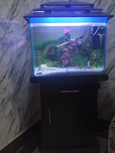 Aquarium fish tank with all accessories and decoration items for sale