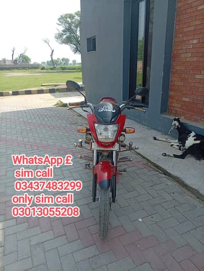 Honda,pridor,honda 100,