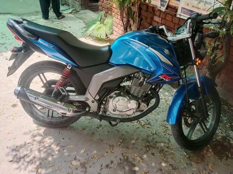 Suzuki 1