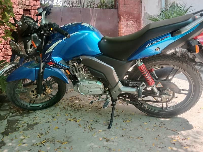 Suzuki 2