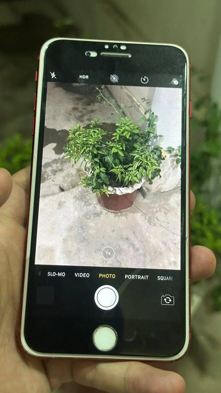 Apple iPhone 7 Plus 5