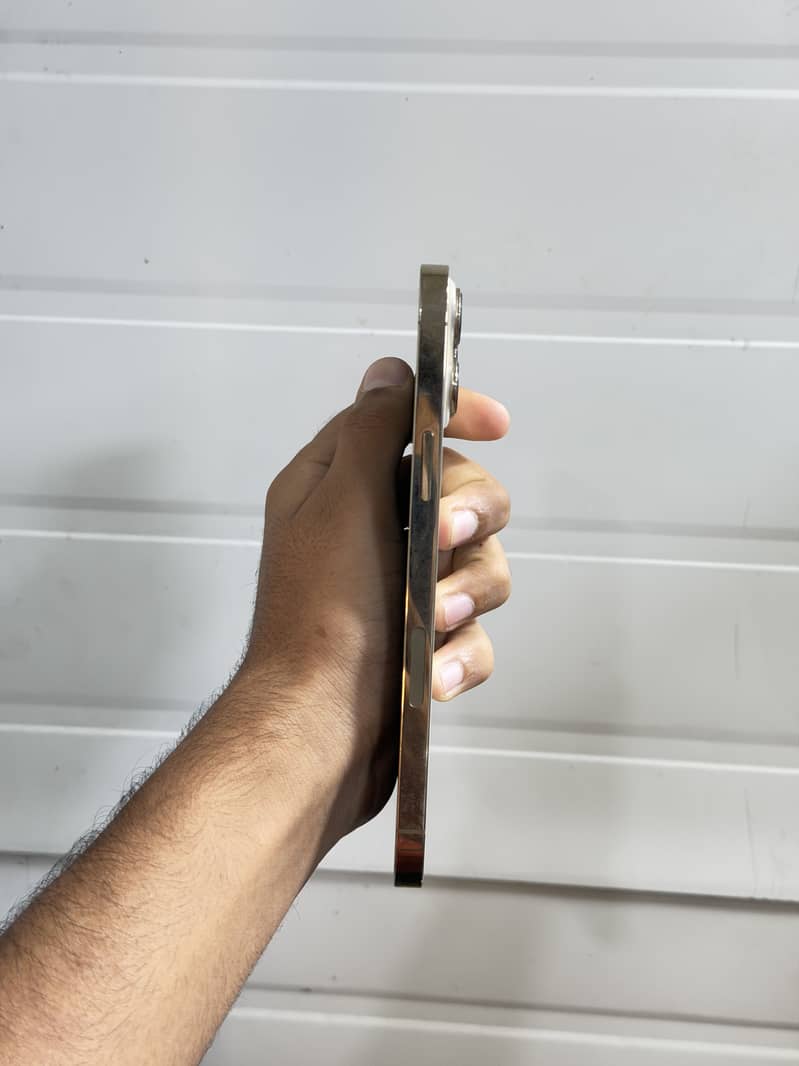 Apple iPhone 13 Pro Max 2