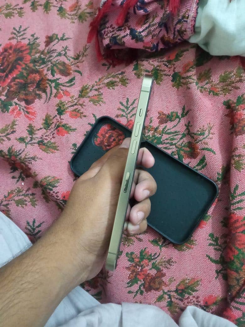 Apple iPhone 12 Pro Max 1