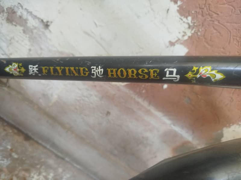 china bicycle 2