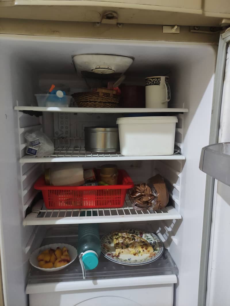 Waves Refrigerator 1