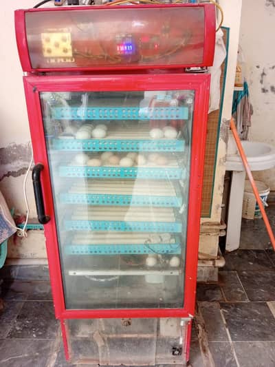 Full automatic 500 eggs capacity incubator