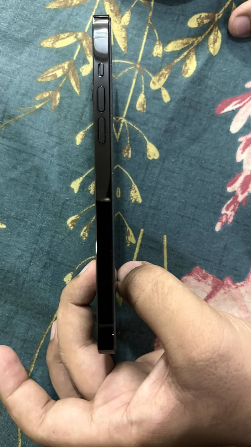 Apple iPhone 14 Pro Max 1