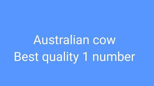 pure cow milk best quality 1 number Islamabad Rawalpindi