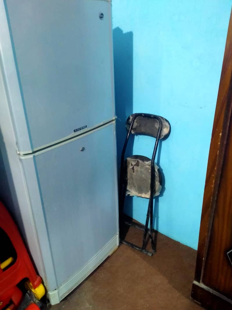 pel Fridge 1