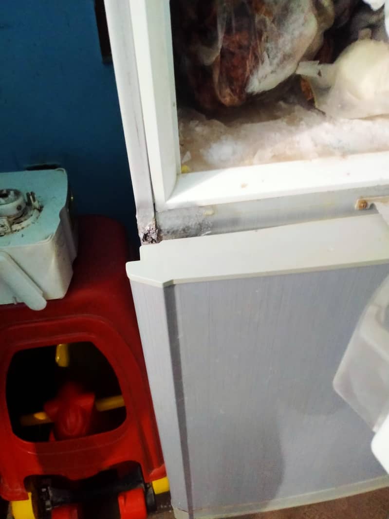 pel Fridge 3