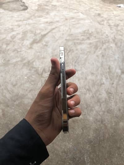 Apple iPhone 11 convert 12 pro max