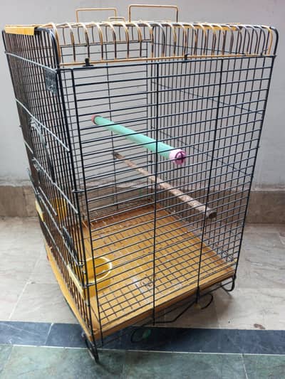Raw Parrot Cage