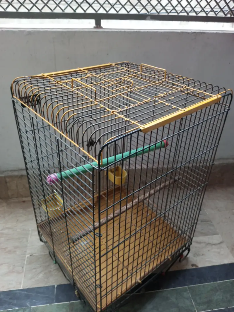 Raw Parrot Cage — photo 2