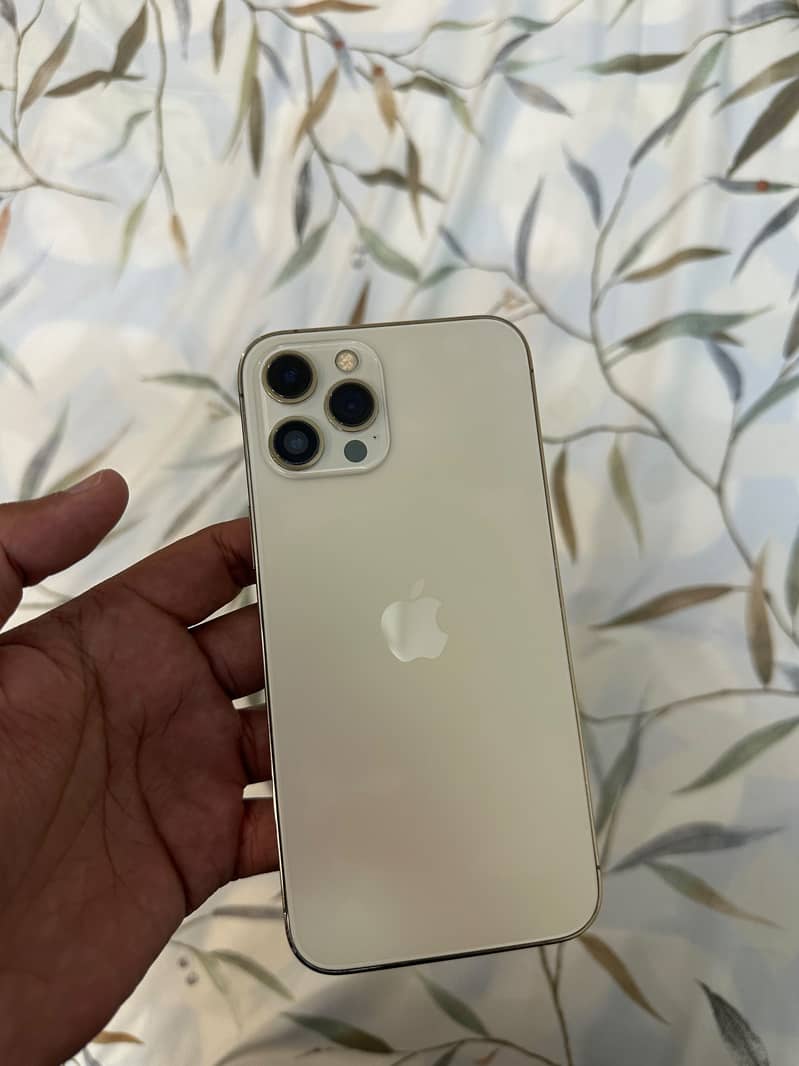Apple iPhone 12 Pro Max 1