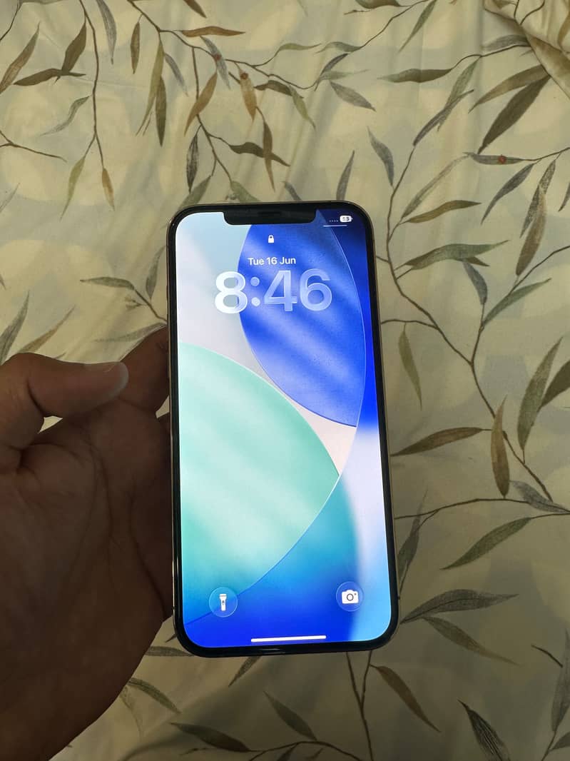 Apple iPhone 12 Pro Max 2