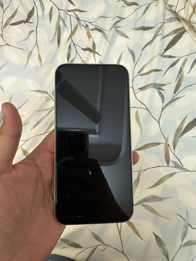 Apple iPhone 12 Pro Max 4