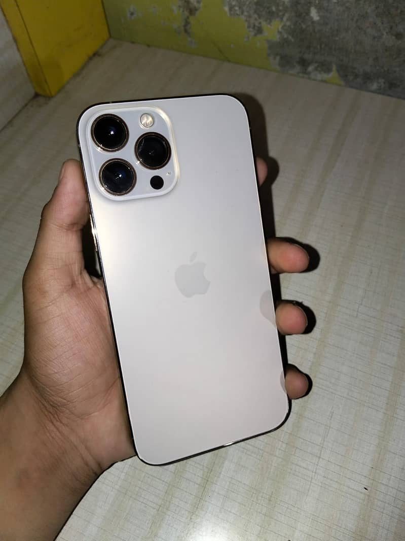 Apple iPhone 13 Pro Max 1