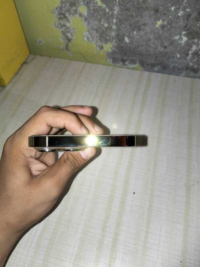 Apple iPhone 13 Pro Max 2