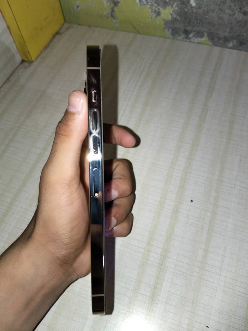 Apple iPhone 13 Pro Max 3