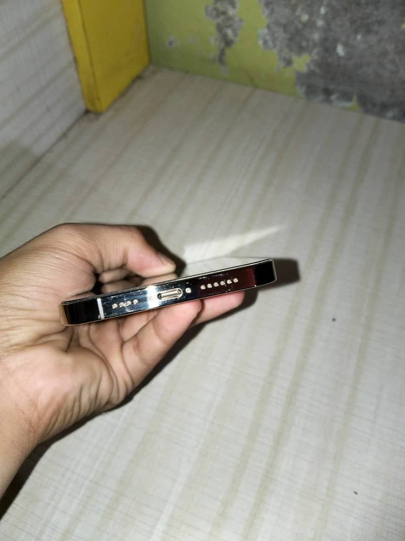Apple iPhone 13 Pro Max 4