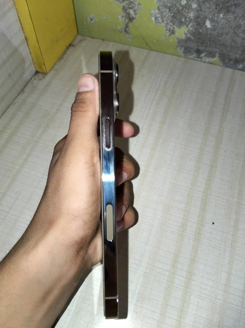 Apple iPhone 13 Pro Max 5