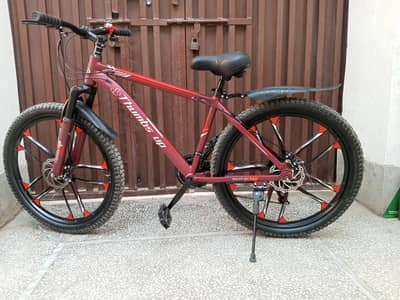 Aluminum Frame with alloy rims & 10 gear cycle