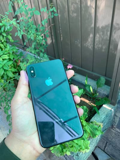 Apple iPhone XS Max pta approve 256