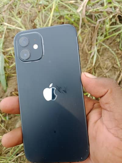 Apple iPhone 12 for sale