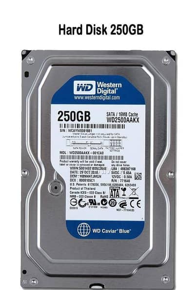 HDD Hard Disk 250 GB