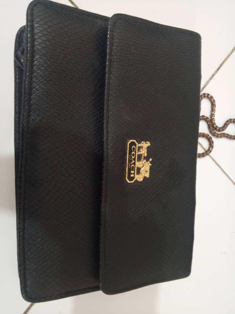 Coach Bag 1
