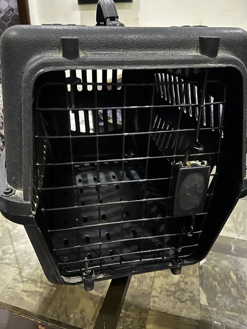 Cat accessories available — photo 4
