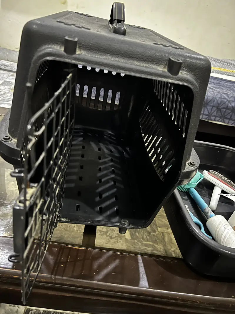 Cat accessories available — photo 5