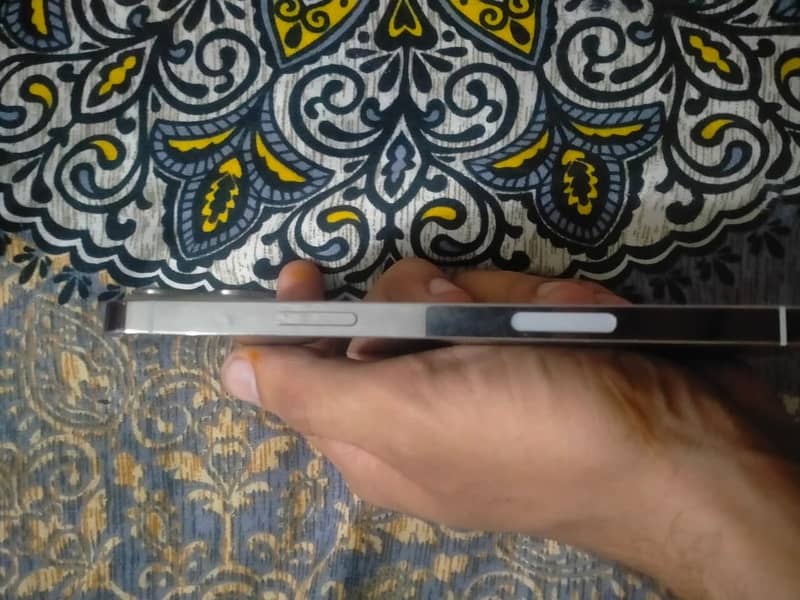 Apple iPhone 13 Pro Max 1
