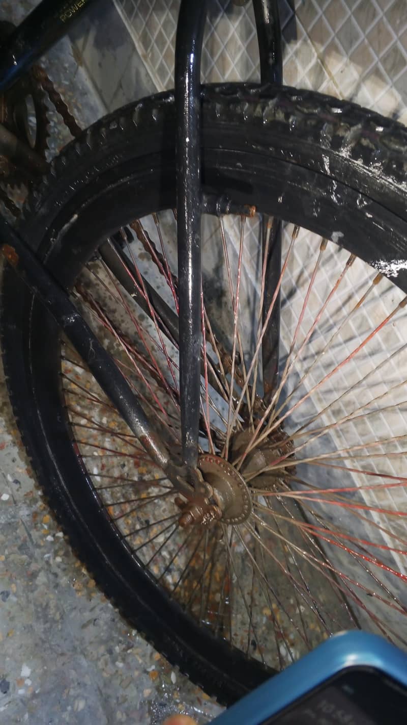 cycle full size 7