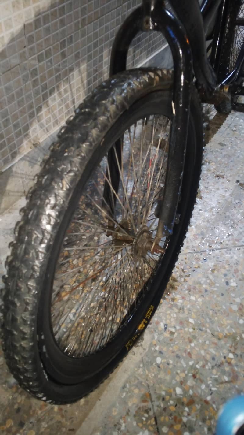 cycle full size 8