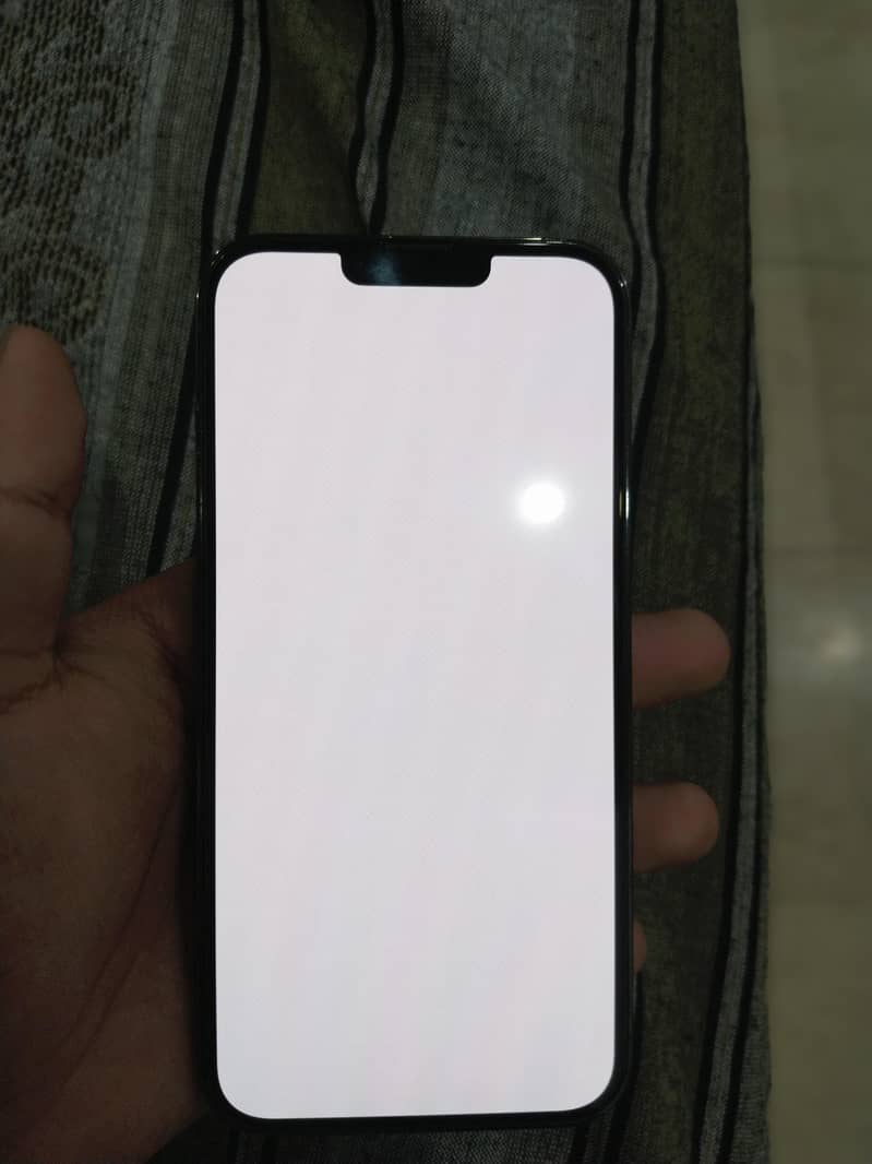 Apple iPhone 13 Pro Max 1