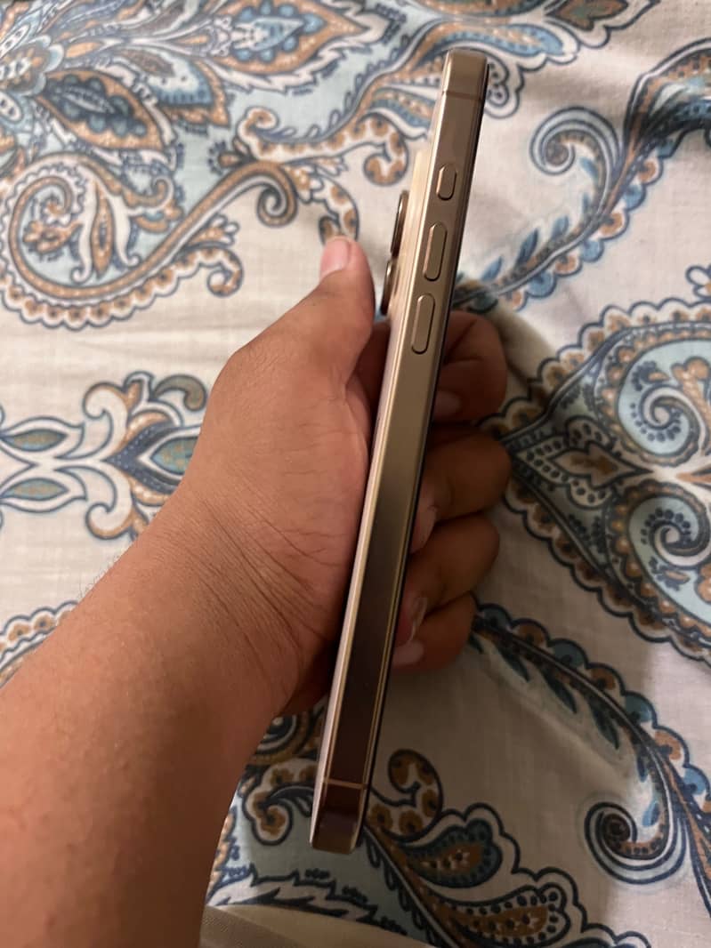 Apple iPhone 16 Pro Max 1