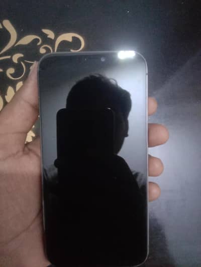 Apple iPhone 12 Pro