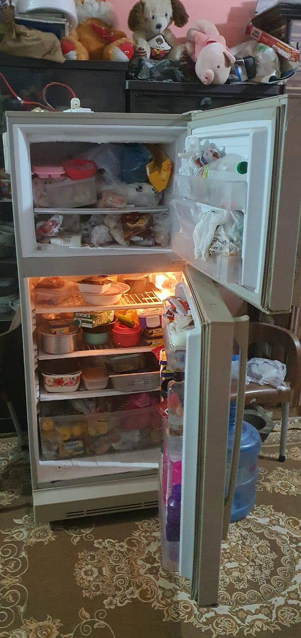 Fridge 1